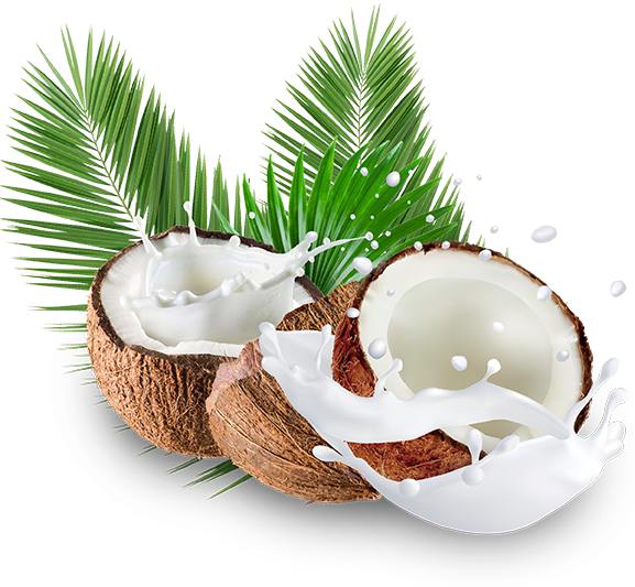 coconut products
