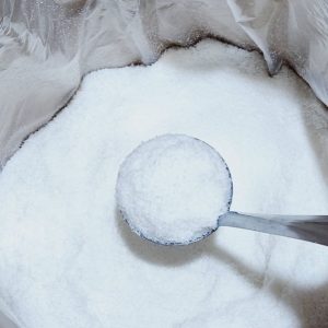 Desiccated Coconut Powder